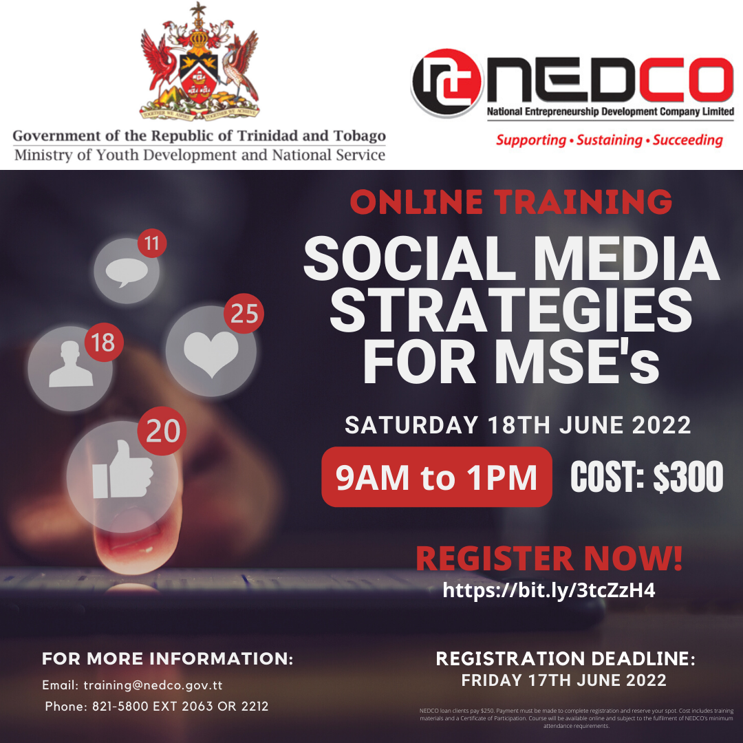 Social Media Strategies for MSEs