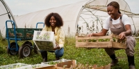 Funding Your Agro-Processing Business